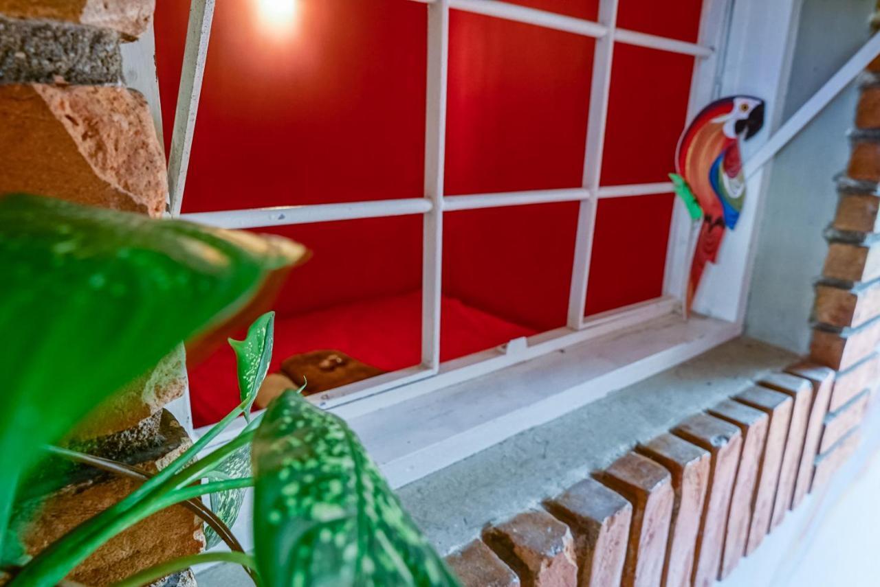Hostel Tropico De Capricornio - Itagua 乌巴图巴 外观 照片