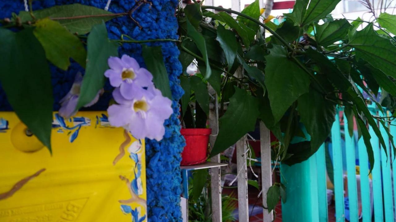 Hostel Tropico De Capricornio - Itagua 乌巴图巴 外观 照片